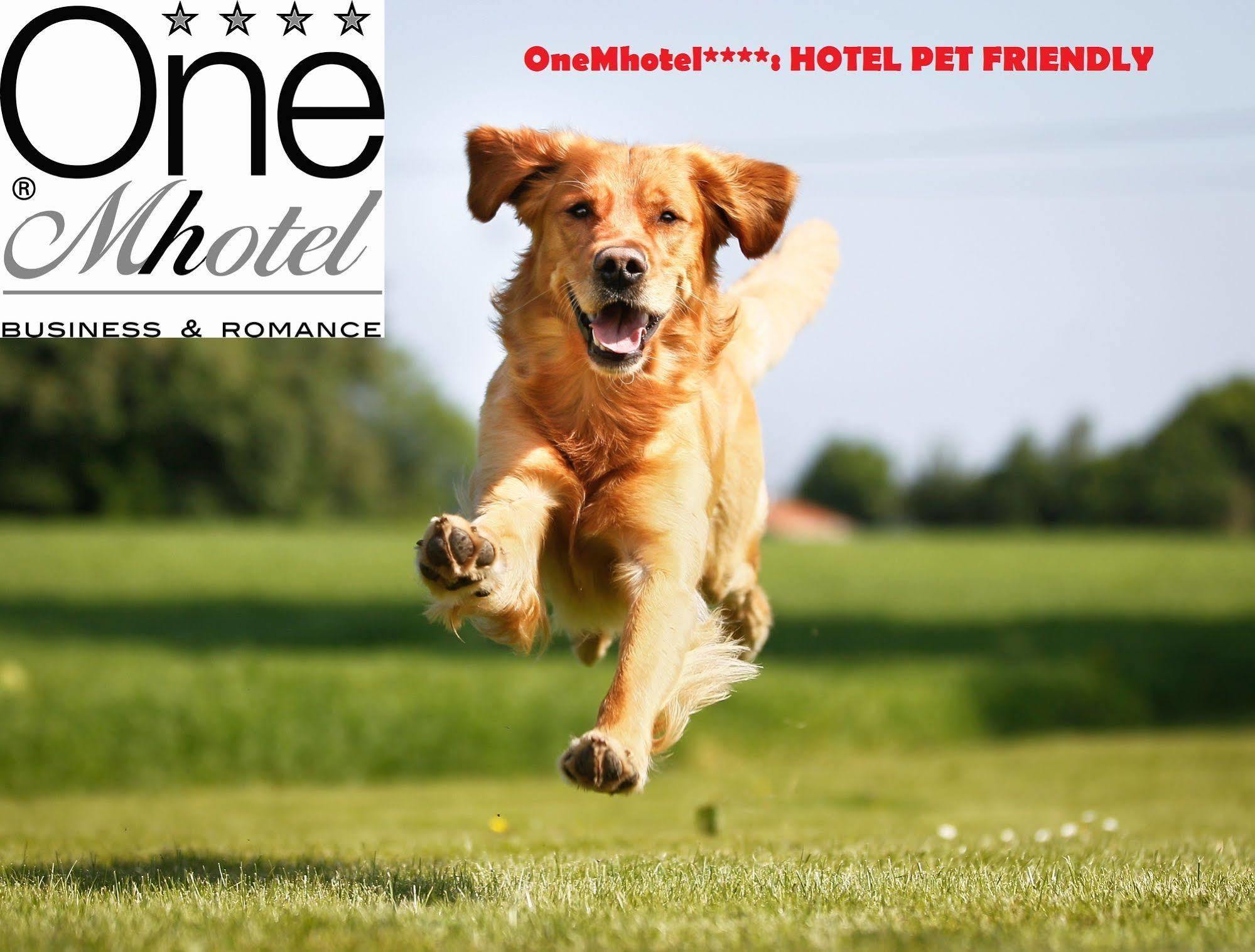 Onemhotel San Paolo  ภายนอก รูปภาพ